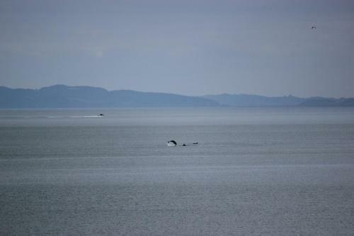 Bed & Breakfast Te Mata Bay Seaviews