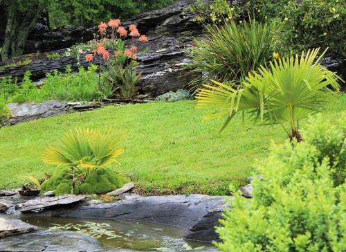 Hostal Labyrinth Gardens Guest House