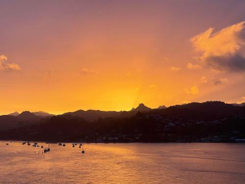 Tairua Treasure On Mount Paku