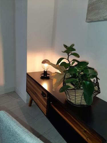 Apartamento Il Cortile