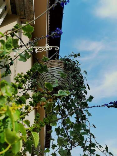 Apartamento Il Cortile