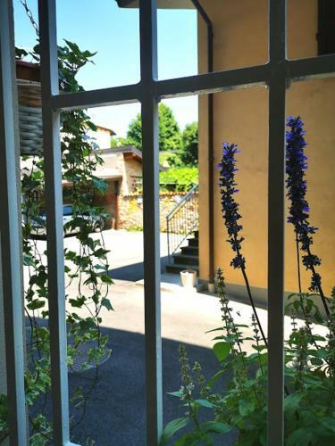 Apartamento Il Cortile