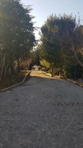 Villa Il Trullo Del Lauro