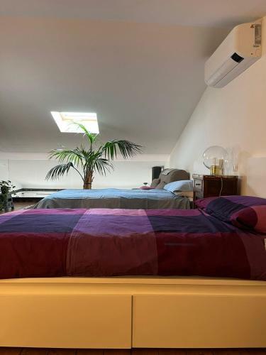 Apartamento Finestre Con Vista