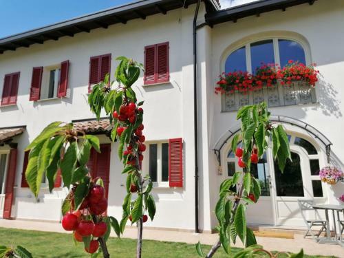Bed & Breakfast La Mafalda In Oltrepo