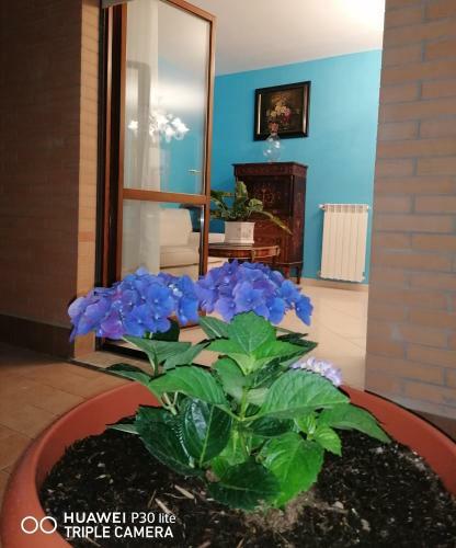 B&byanet's Beautiful House