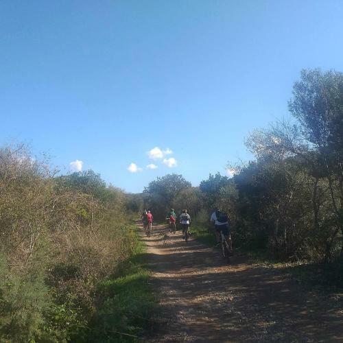 Agroturismo Dimora Il Camaleonte, Casale Tra Mare E Monti