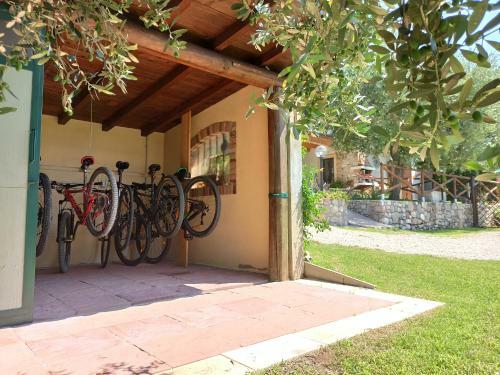 Bed & Breakfast Le Zampolle B & B