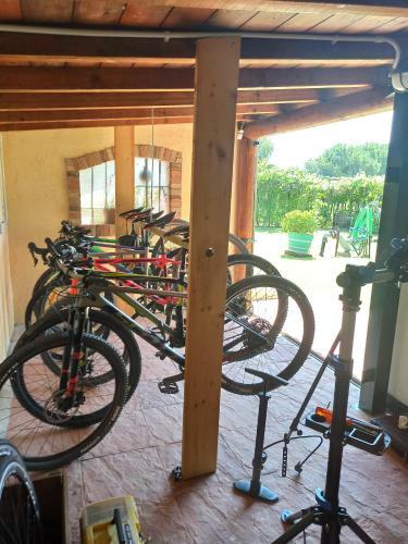 Bed & Breakfast Le Zampolle B & B