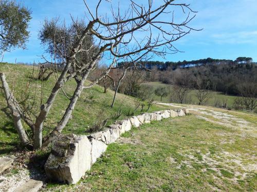 Apartamento Agriturismo La Mela