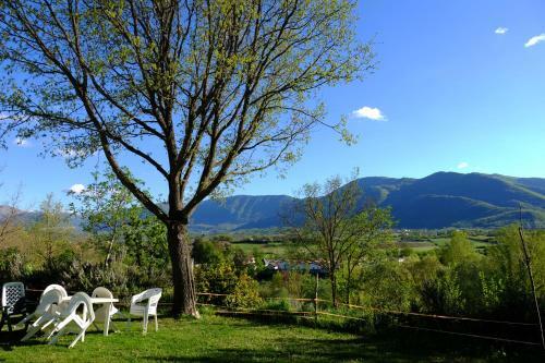 Bed & Breakfast L'acero Campestre