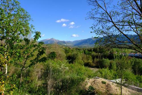 Bed & Breakfast L'acero Campestre