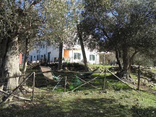 Agroturismo La Masseria Di Antonio E Teresina
