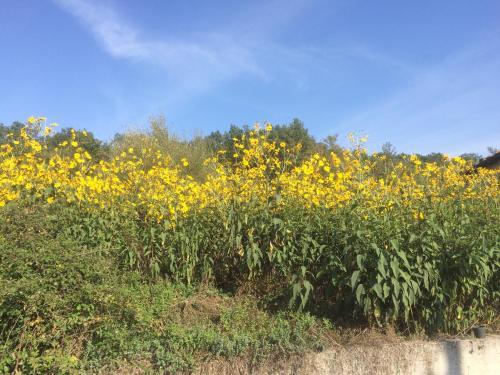 Agroturismo La Masseria Di Antonio E Teresina