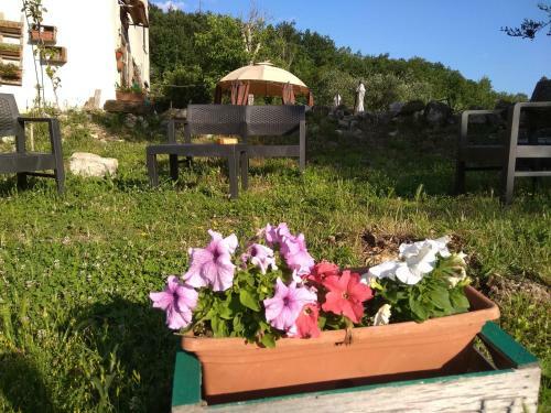 Agroturismo La Masseria Di Antonio E Teresina