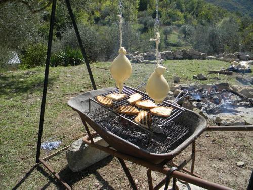 Agroturismo La Masseria Di Antonio E Teresina