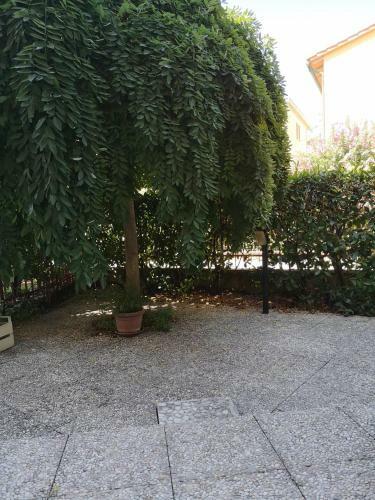 La Casa Di Fiammetta