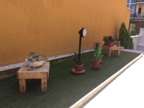 Apartamento Appartamento Piccola Perla
