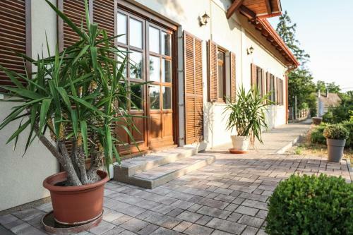 Hostal Szarvas Apartman - Jakuzzis Vend�gh�z M�ny