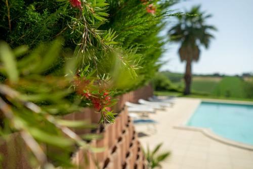 Apartamento Villa Iulia