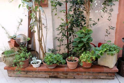 Bed & Breakfast Porta Del Carmine