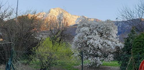 Villa Lago