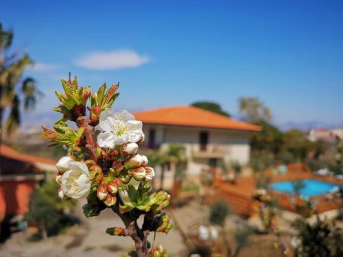 Bed & Breakfast B & B Evergreen