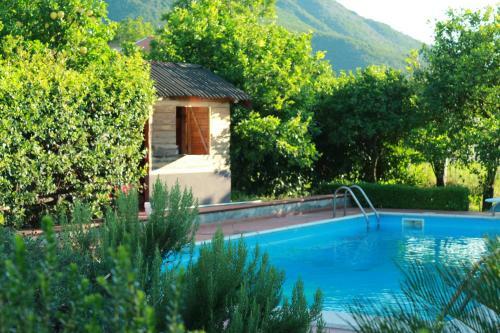 Desiderio D'ammore