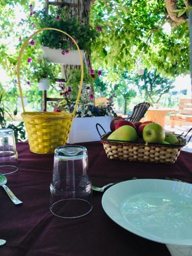 Bed & Breakfast Tenuta Vigna Del Noce