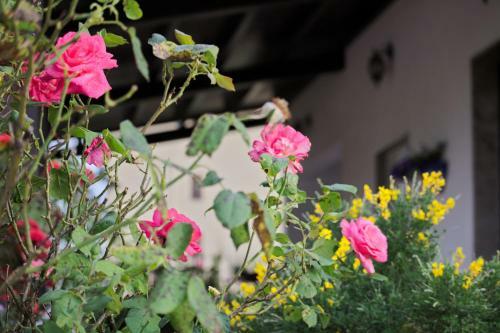 Bed & Breakfast La Casa Di Bia