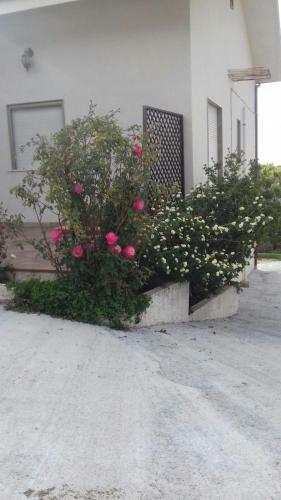Bed & Breakfast La Casa Di Bia