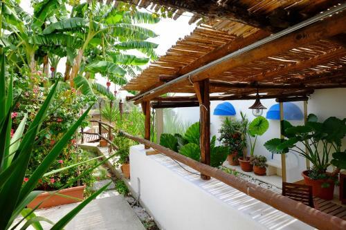 Blue Dream - Amalfi Coast