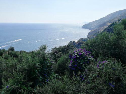 Thats Amore Holidays - Villa Donna Antonia
