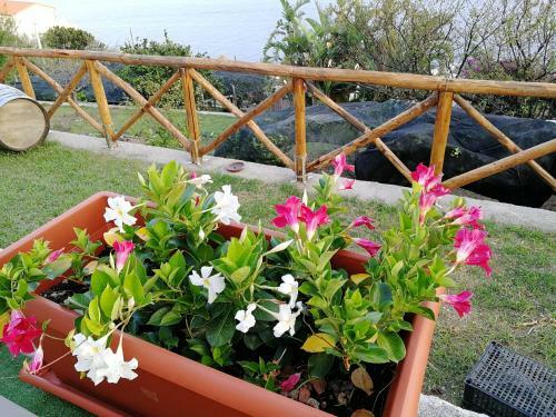 Thats Amore Holidays - Villa Donna Antonia