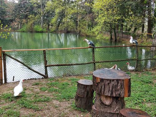 B&B Chiosi Country Club