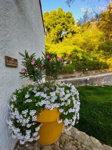 B&B Chiosi Country Club