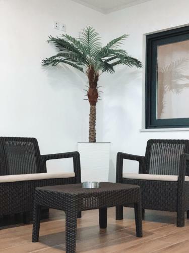 Alojamento Am�lie - Apartamento