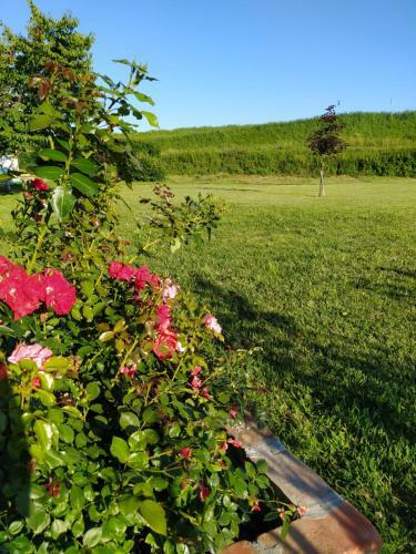 Soggiorno In Relax