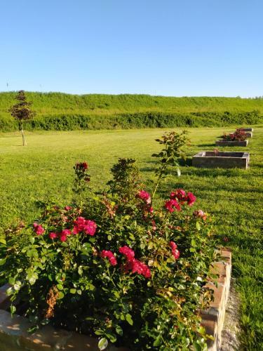 Soggiorno In Relax