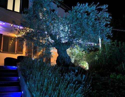 Villa Ouverte Sur Le Monde