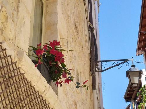 Apartamento La Casetta 6058