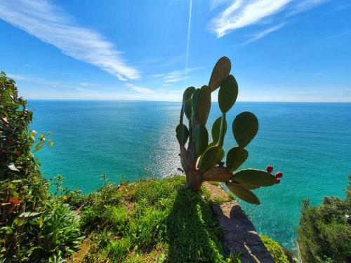 Apartamento La Terrazza Sul Blu