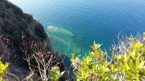 Apartamento La Terrazza Sul Blu