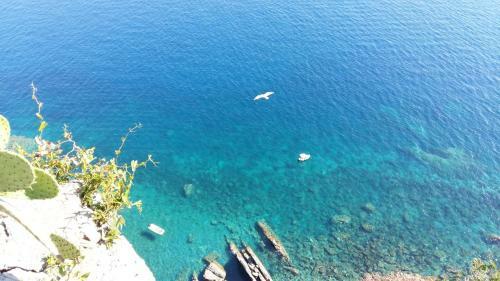 Apartamento La Terrazza Sul Blu
