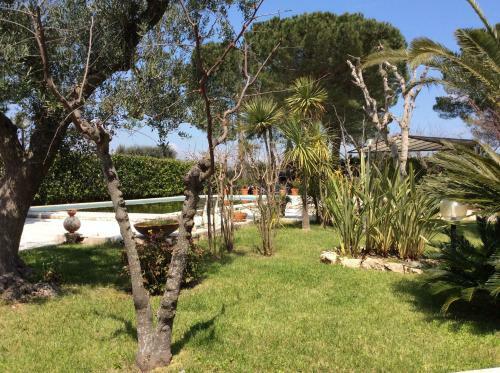 Hostal Paradiso In Campagna