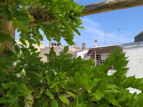 Lovely Stone House Conversano Puglia