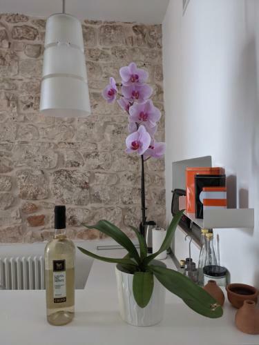 Lovely Stone House Conversano Puglia