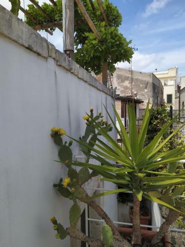 Lovely Stone House Conversano Puglia