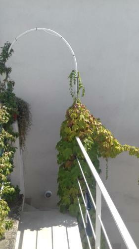 Lovely Stone House Conversano Puglia