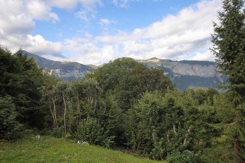 Chalet 10 Pers Aux Carroz (ch719)